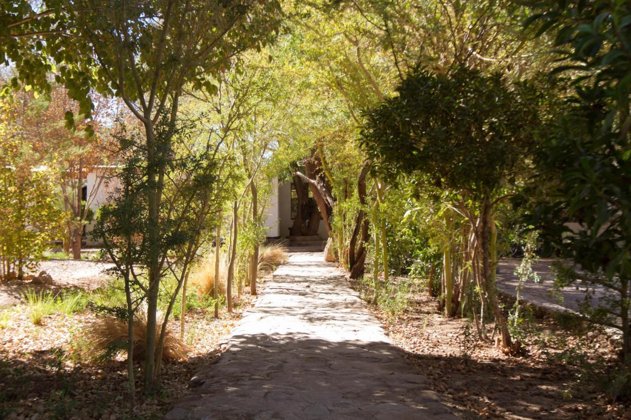 Terracota Hotell San Pedro de Atacama Eksteriør bilde